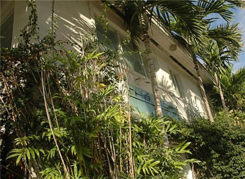 The Attic Vandrerhjem Miami Beach Eksteriør bilde